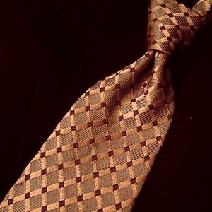 Gianfranco Ferre 100% Silk Tie.